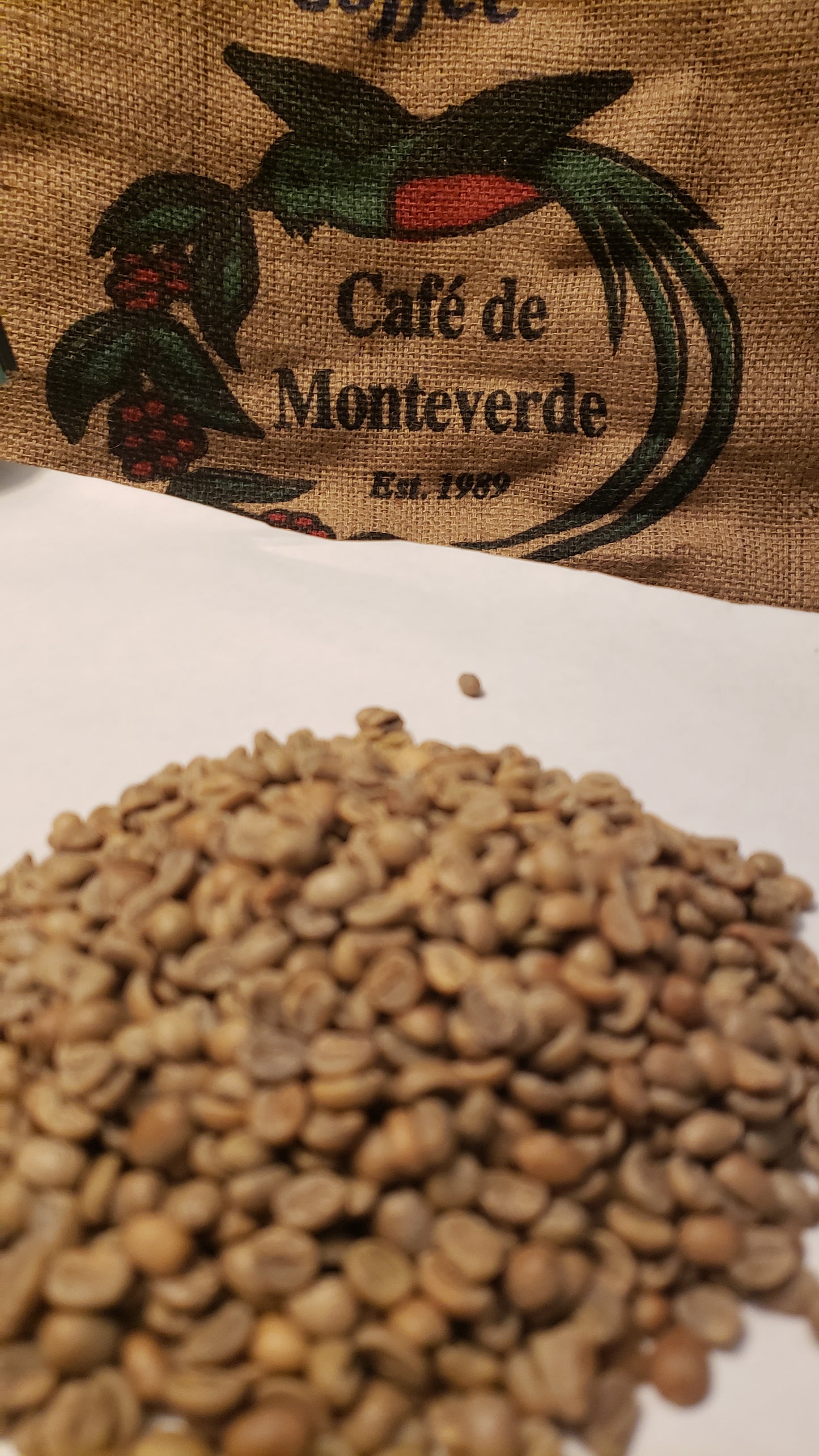 Costa Rica:  Monteverde, Washed Process
