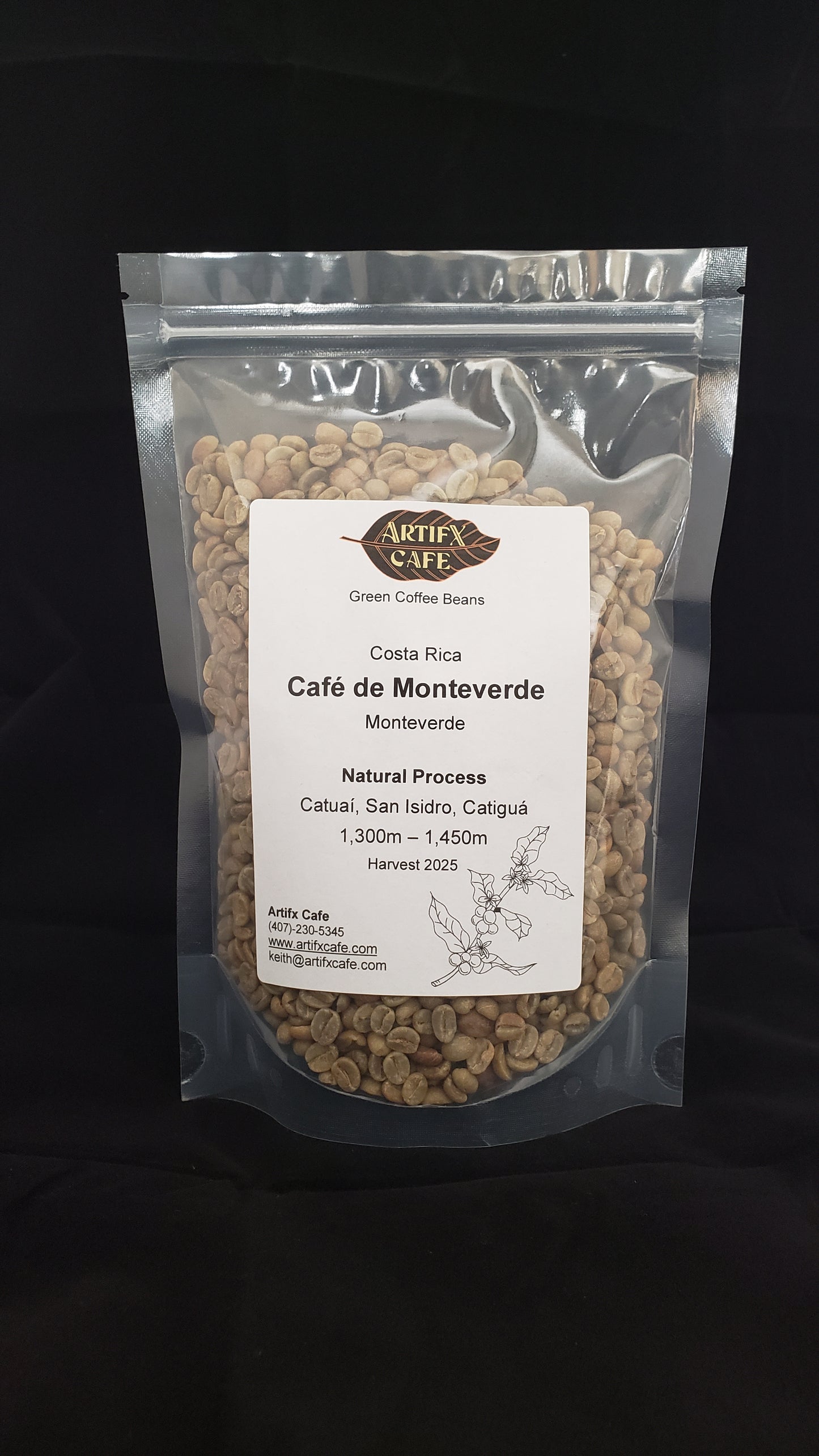 Costa Rica:  Monteverde, Natural Process