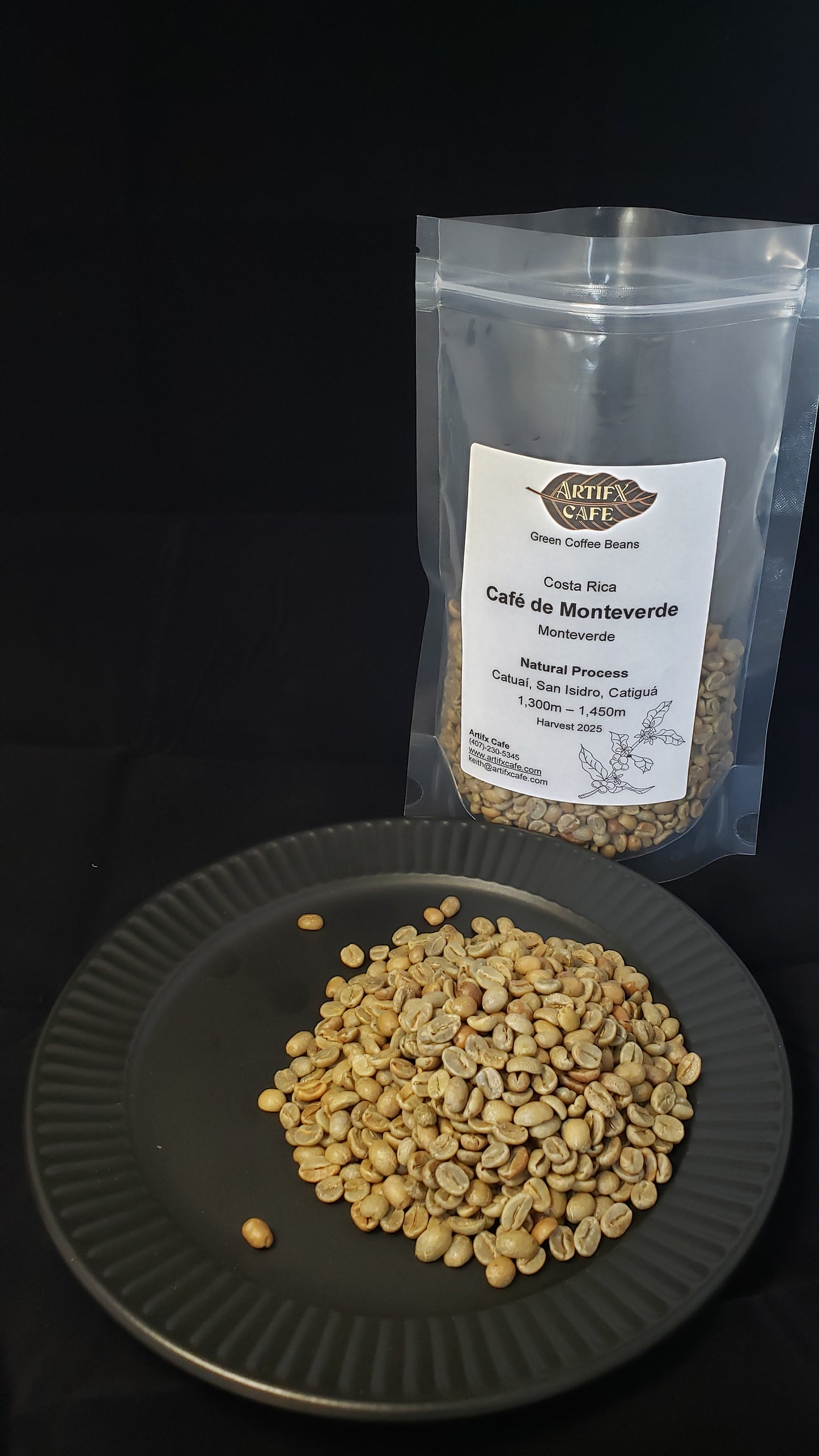 Costa Rica:  Monteverde, Natural Process