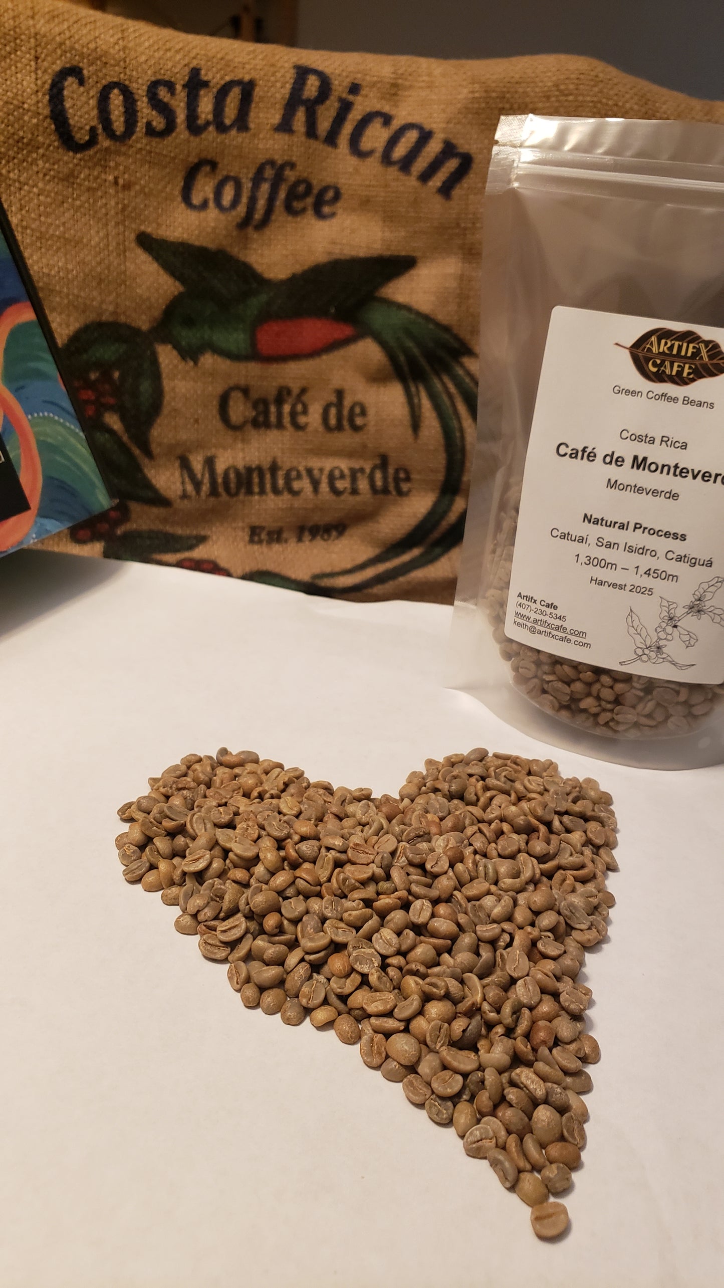 Costa Rica:  Monteverde, Natural Process