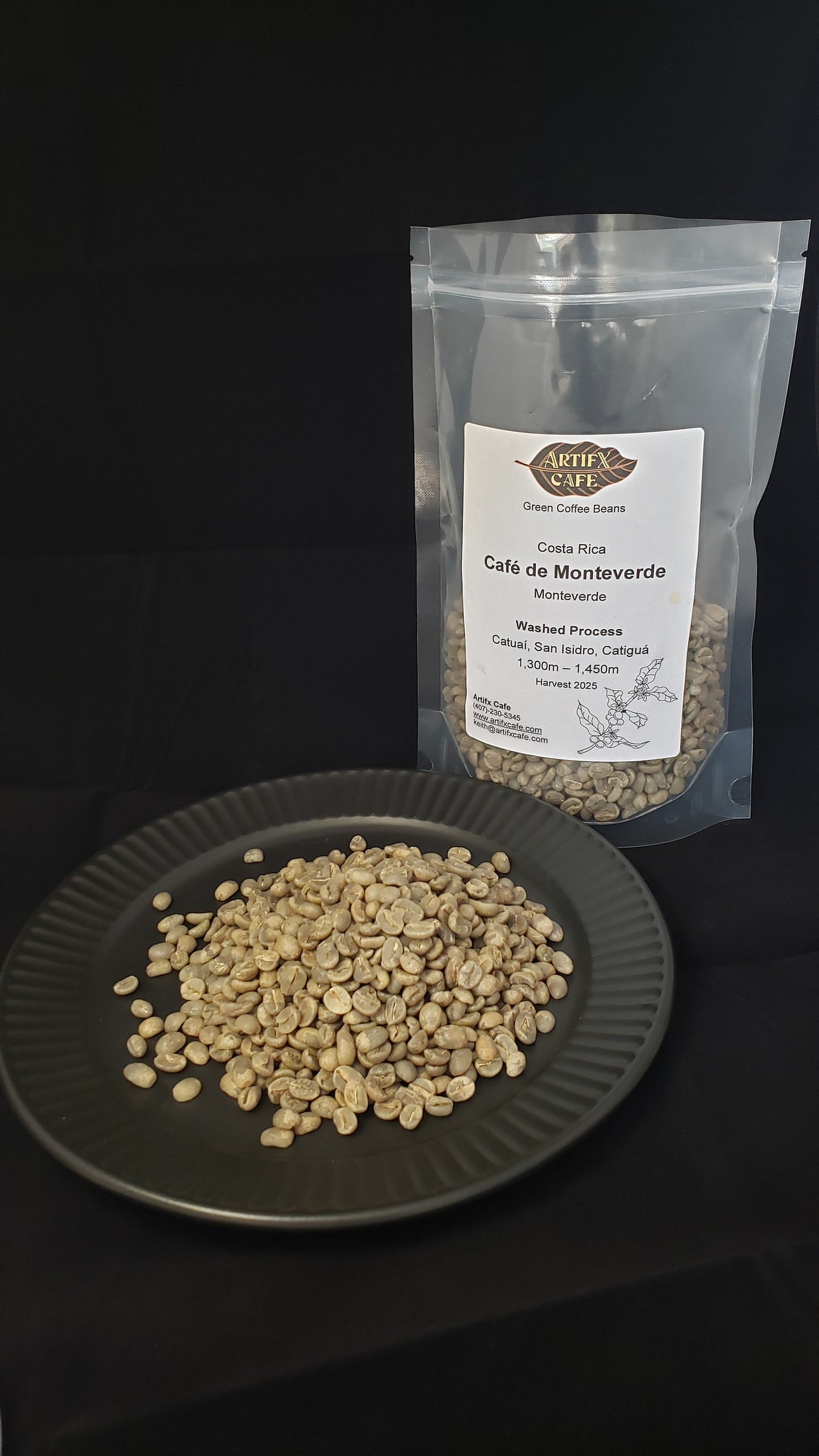 Costa Rica:  Monteverde, Washed Process