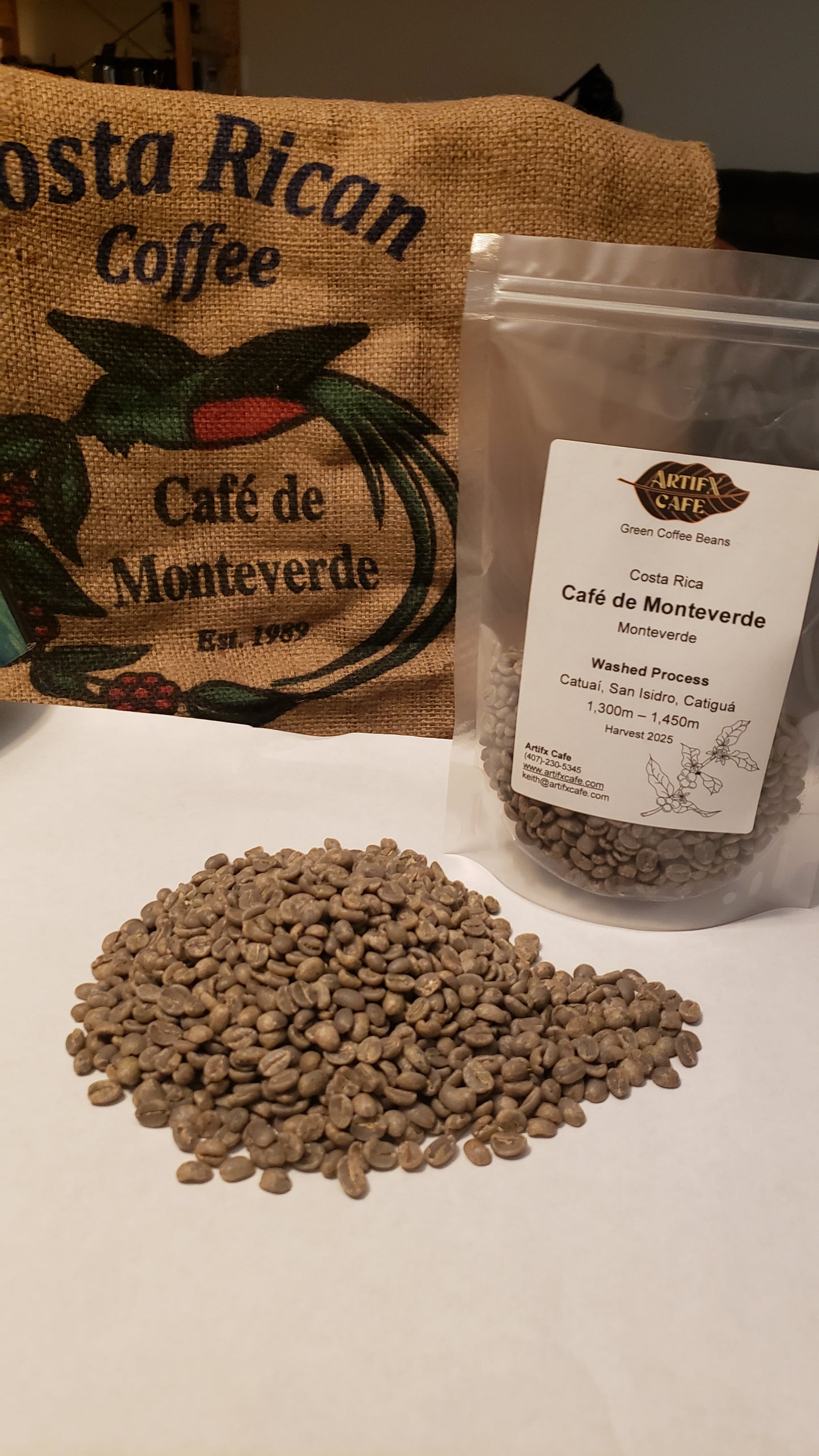 Costa Rica:  Monteverde, Washed Process